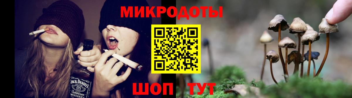 Мценск  Галлюциногенные грибы Psilocybe  Вход с VPN  Галлюциногенные грибы мицелий 